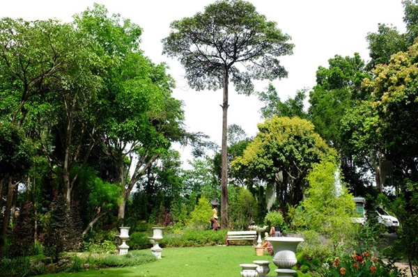 เยือนสวนซ่อนศิลป์ เสพศิลปะที่แอบซ่อนในผืนป่า เยือนสวนซ่อนศิลป์ เสพศิลปะที่แอบซ่อนในผืนป่า