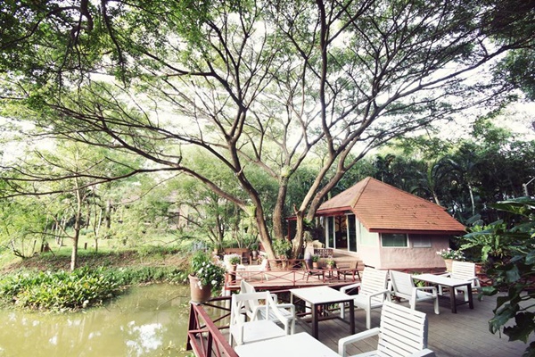 เยือนสวนซ่อนศิลป์ เสพศิลปะที่แอบซ่อนในผืนป่า เยือนสวนซ่อนศิลป์ เสพศิลปะที่แอบซ่อนในผืนป่า