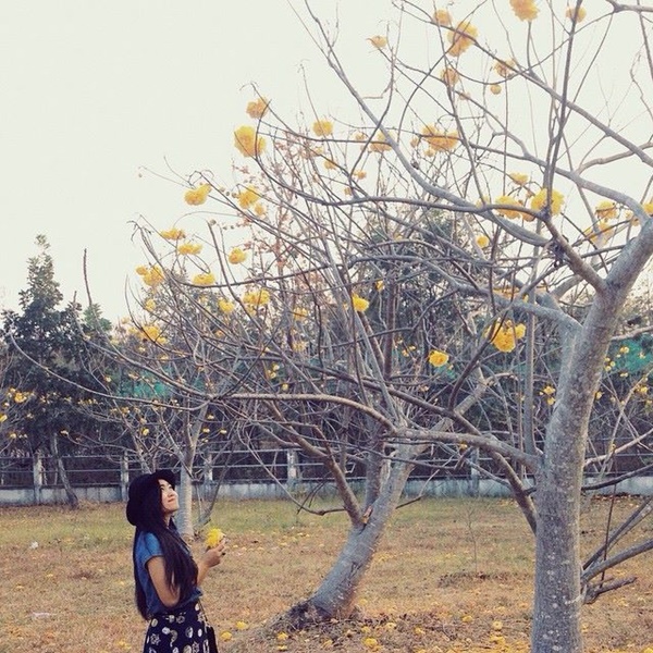 เที่ยวอุบลราชธานี