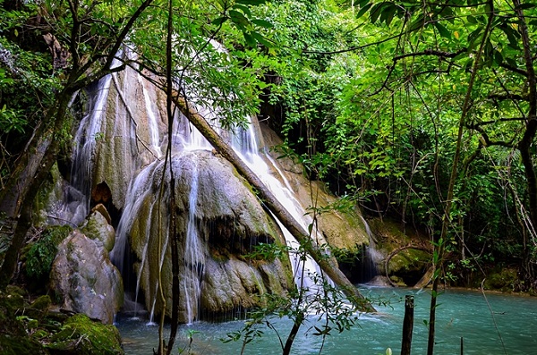 เที่ยวท่อง 3 มิติ ผืนป่าตะวันตก