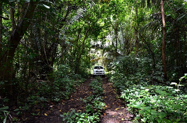 เที่ยวท่อง 3 มิติ ผืนป่าตะวันตก