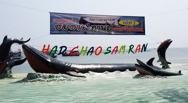 เทศกาลชมวาฬ  ทานปู หาดเจ้าสำราญ จ.เพชรบุรี