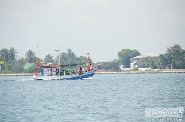 เทศกาลชมวาฬ  ทานปู หาดเจ้าสำราญ จ.เพชรบุรี