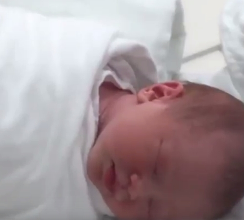 น้องคาร์เมน