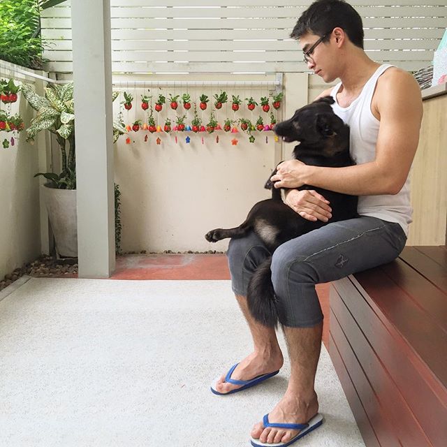 ณเดชน์ คูกิมิยะ