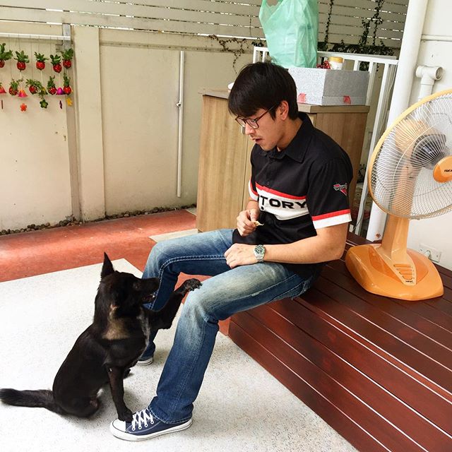 ณเดชน์ คูกิมิยะ