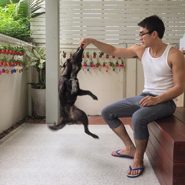 ณเดชน์ คูกิมิยะ