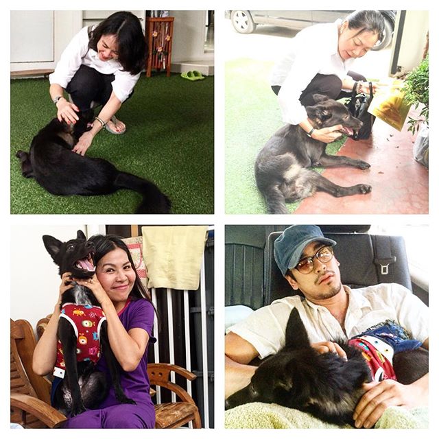 ณเดชน์ คูกิมิยะ