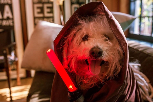 Star Wars