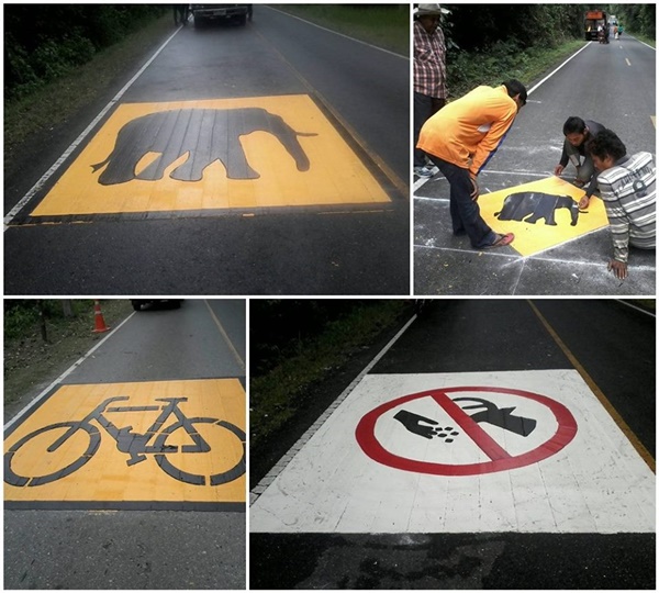 เขาใหญ่ตีเส้นจราจรใหม่ ทำสัญลักษณ์ระวังช้าง ป้องกันอุบัติเหตุ