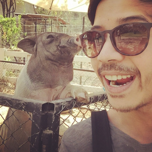 สิงห์ Sqweez Animal