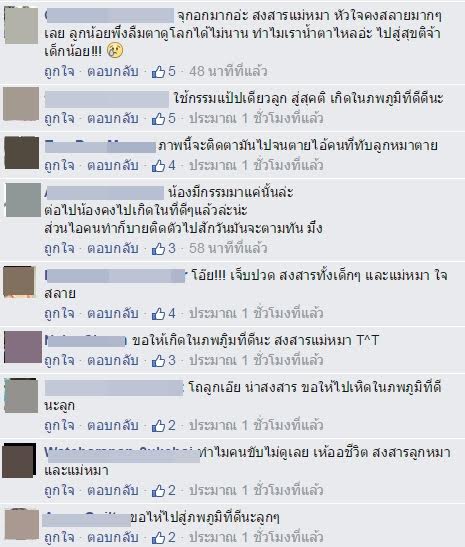 ลูกหมาโดนรถทับ