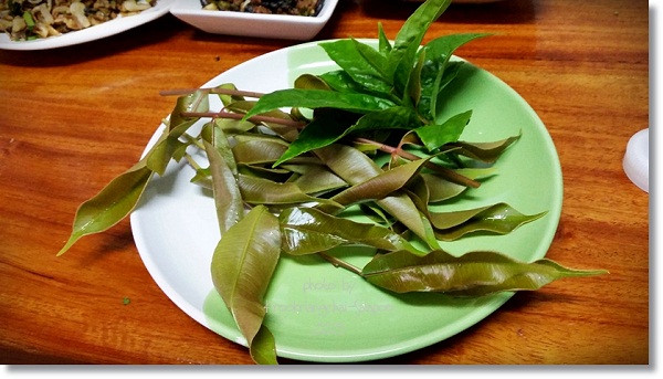 วิธีทำลาบหลน ลาบหมี่ 2 เมนูอาหารเหนือจากปลาดุกแค่ตัวเดียว