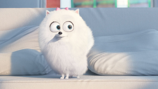 Secret Life of Pets เผยความลับเหล่าสัตว์เลี้ยง