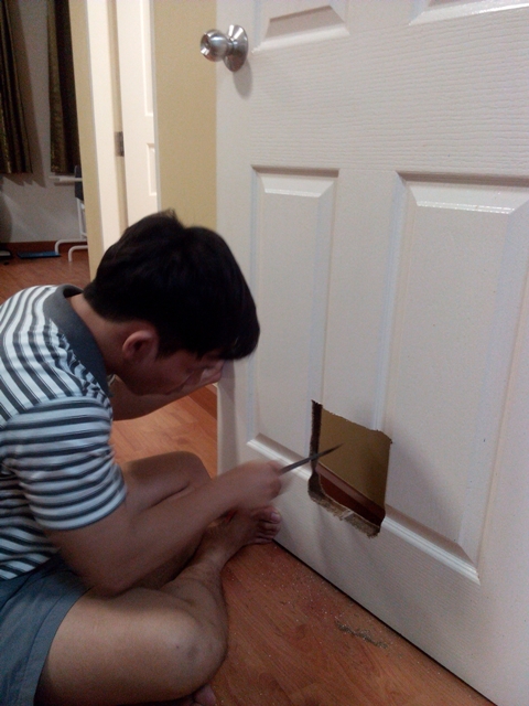 วิธีติดประตูแมวง่าย ๆ ทาสแมวทำเองได้ไม่ง้อช่าง