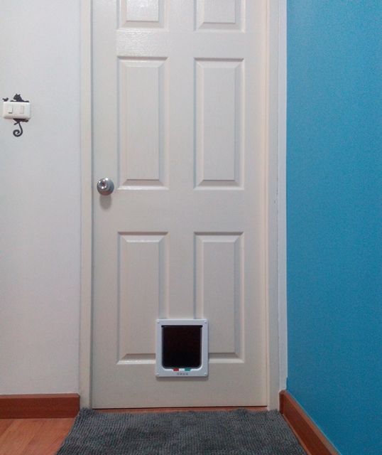 วิธีติดประตูแมวง่าย ๆ ทาสแมวทำเองได้ไม่ง้อช่าง