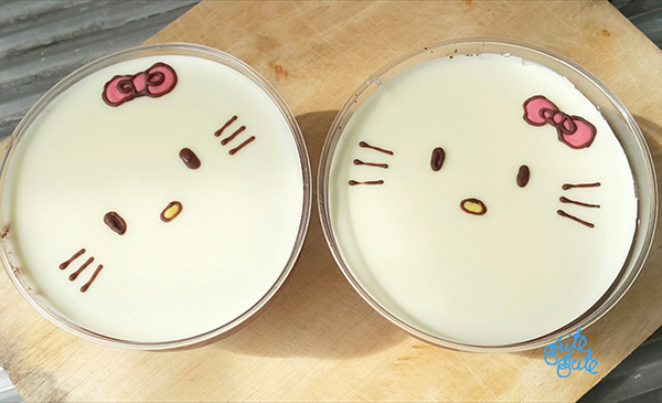 มูสเค้กหน้าการ์ตูน 