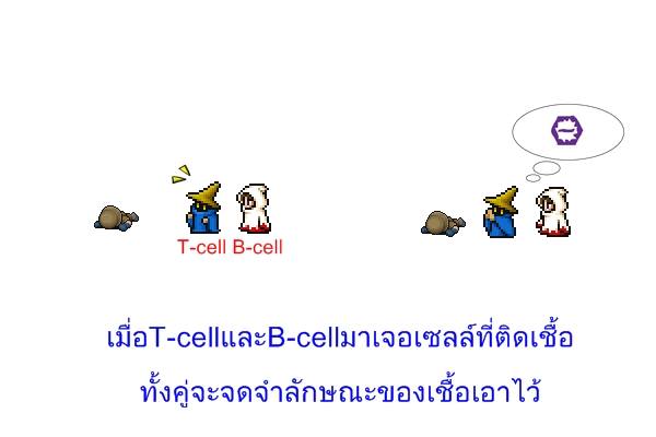 ความรู้ไข้เลือดออกฉบับการ์ตูน