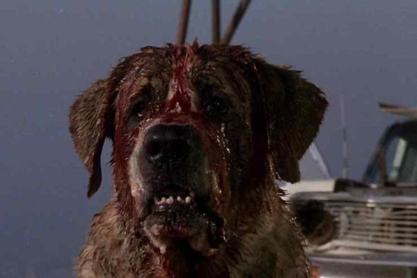 10 หนังสยองขวัญที่จะกลับมาสร้างใหม่