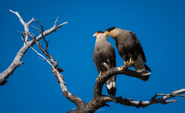 Patagonia Patagonia