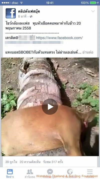 ฆ่าหมาทำกับข้าว