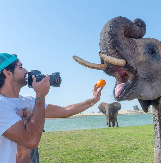 ชีค ฮัมดัน