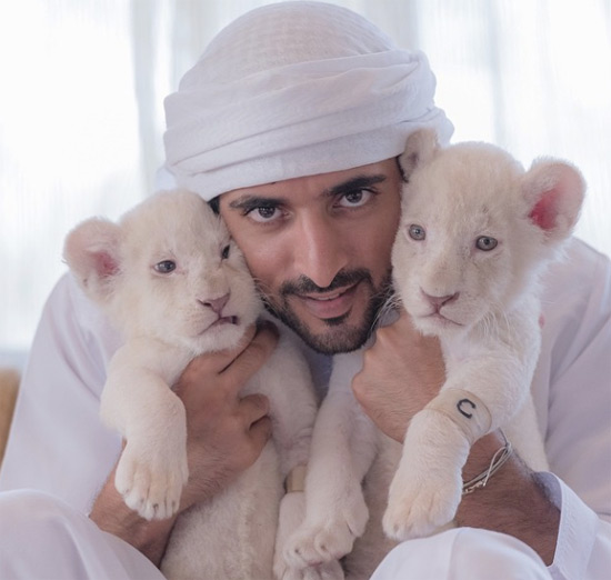 ชีค ฮัมดัน