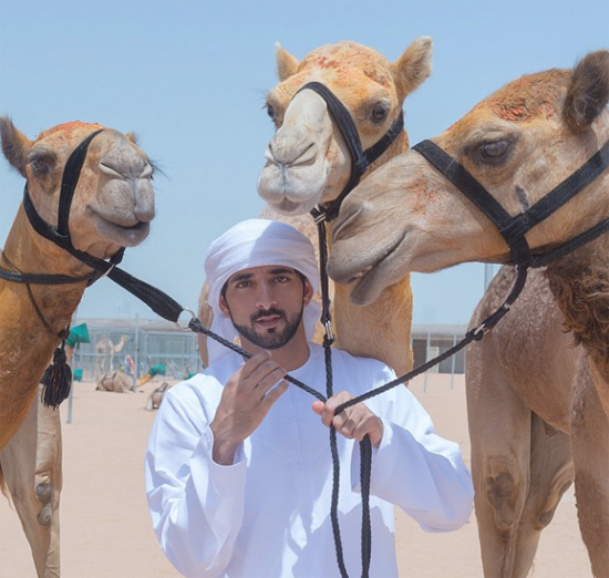 ชีค ฮัมดัน