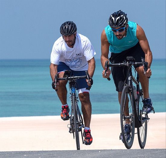 ชีค ฮัมดัน