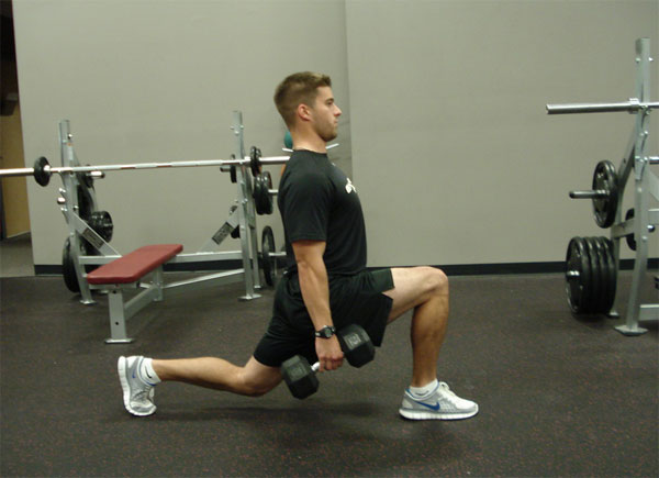 วิธีสร้างกล้ามเนื้อ