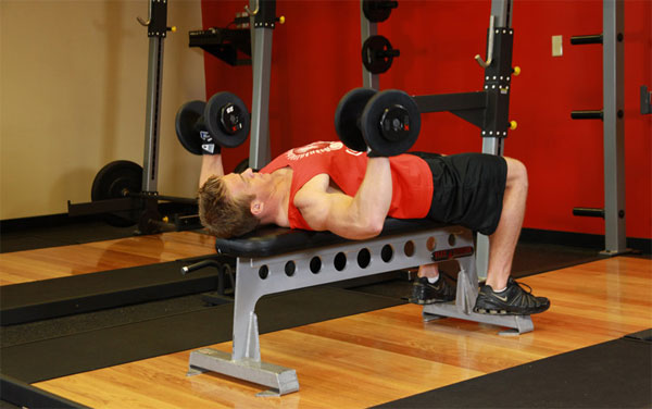 วิธีสร้างกล้ามเนื้อ