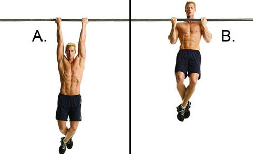 วิธีสร้างกล้ามเนื้อ