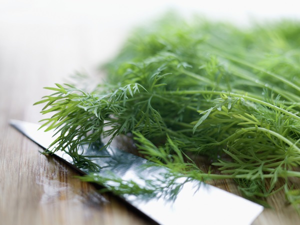 ผักชีลาว