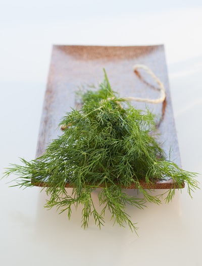 ผักชีลาว