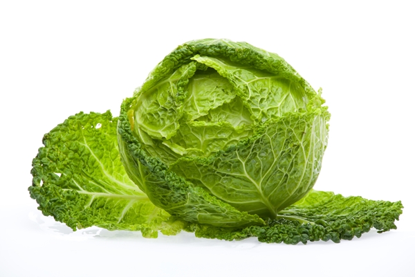 เคล็ดลับอายุยืน 20 อาหารสุดแจ่ม