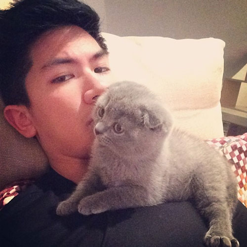 แมว เจ้าชายอับดุล มาทีน