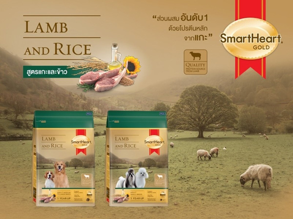 SmartHeart GOLD Lamb&Rice