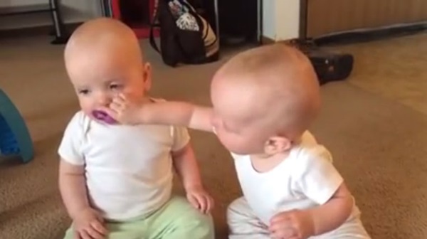 แฝดจิ๋วเปิดศึกสายเลือด แย่งจุกนมหลอก