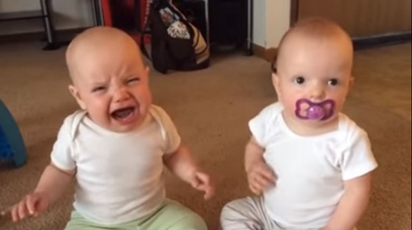 แฝดจิ๋วเปิดศึกสายเลือด แย่งจุกนมหลอก