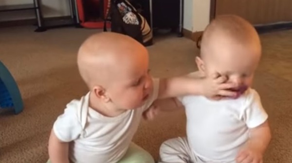 แฝดจิ๋วเปิดศึกสายเลือด แย่งจุกนมหลอก