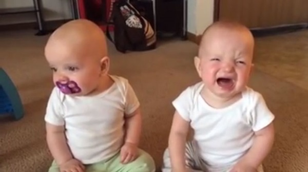 แฝดจิ๋วเปิดศึกสายเลือด แย่งจุกนมหลอก