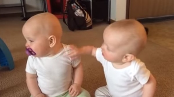 แฝดจิ๋วเปิดศึกสายเลือด แย่งจุกนมหลอก