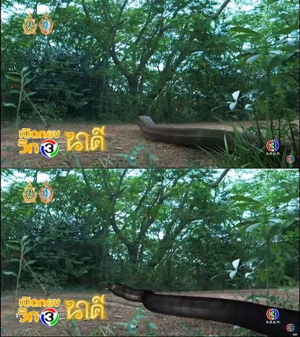 บื้องหลังการทำ CG ละคร นาคี