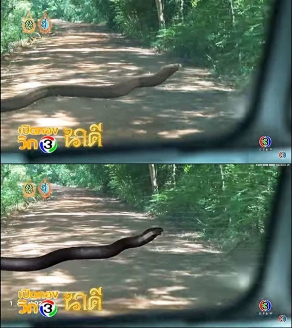 บื้องหลังการทำ CG ละคร นาคี