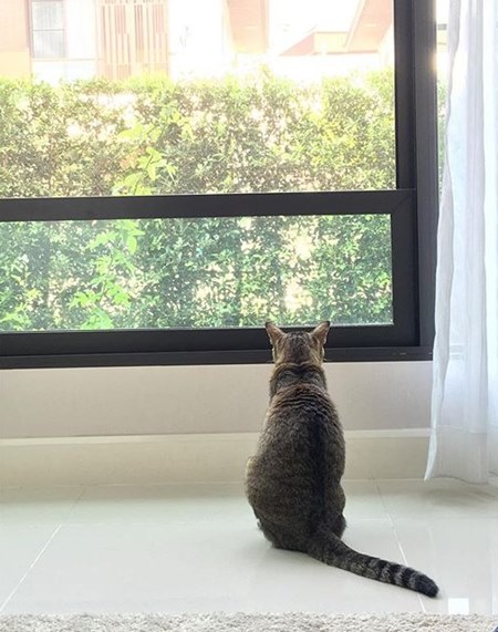 เบลล่า ราณี กับบ้านหลังงาม