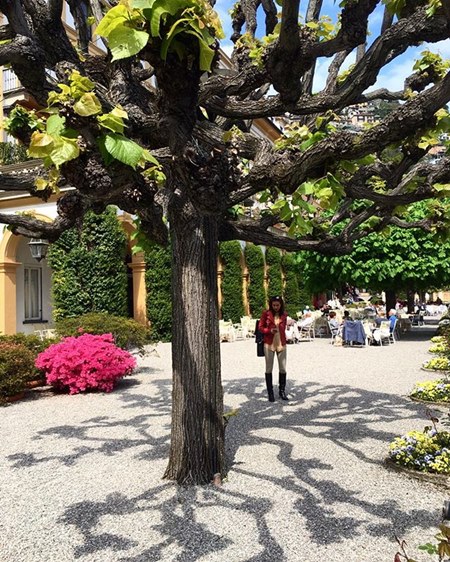 คริส หอวัง