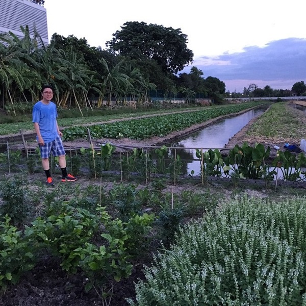 ปัญญา นิรันดร์กุล