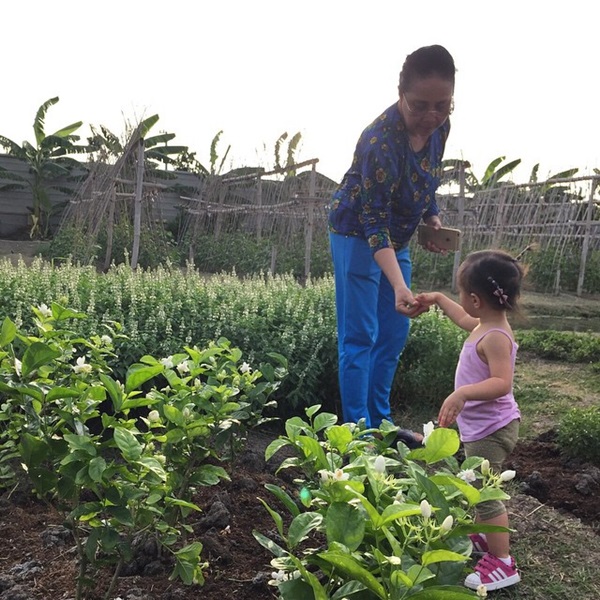 ปัญญา นิรันดร์กุล