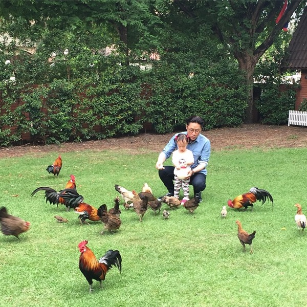 ปัญญา นิรันดร์กุล