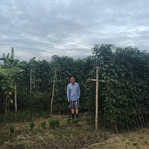 ปัญญา นิรันดร์กุล